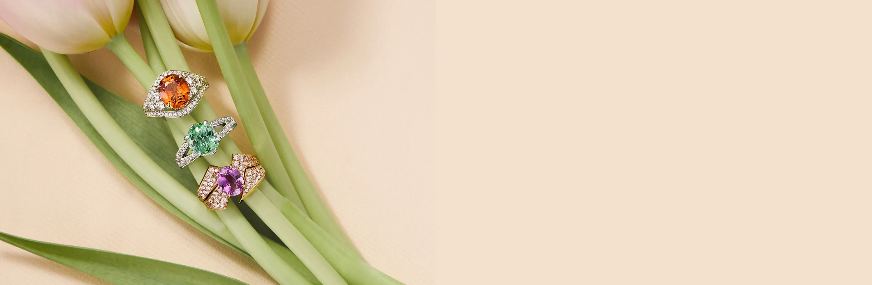 Nature’s Palette: Where nature comes to life in colour.