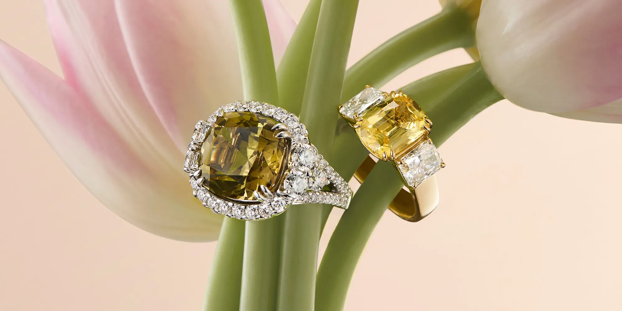 Drawn from the earth. Alive with colour.
Warm, nuanced and naturally expressive, unheated tanzanite and yellow sapphire reveal a more unexpected palette within Nature’s Palette.